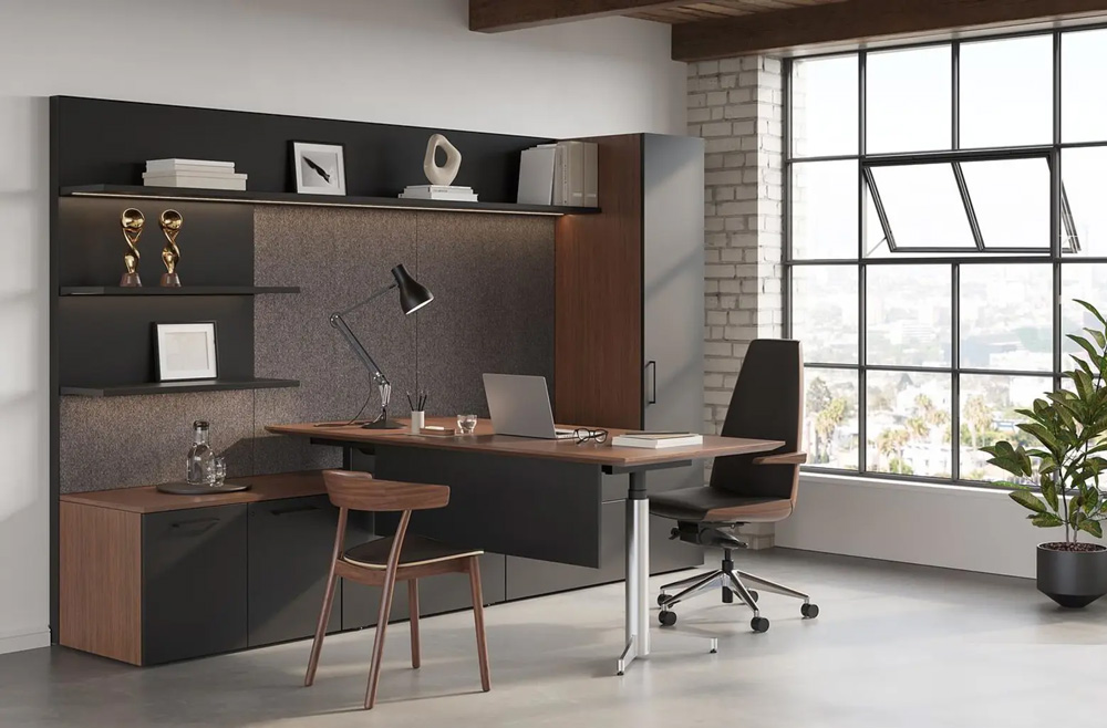 Office storage option for private offce
